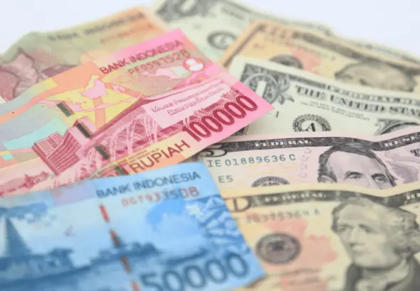 Ilustrasi Nilai Tukar Rupiah: Perjalanan Mata Uang Indonesia hingga 2026 (Sumber : Kompas.com)