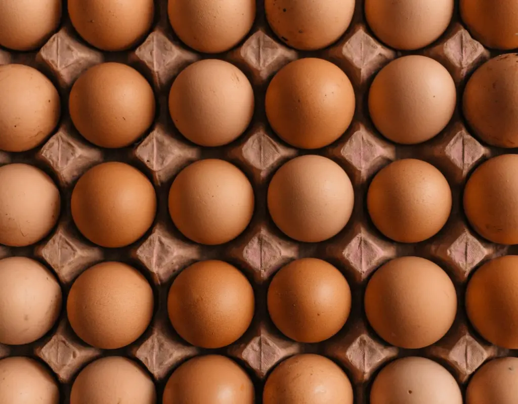 Ilustrasi telur ayam (Foto: Erol Ahmed/Unsplash)