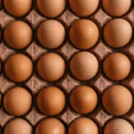 Ilustrasi telur ayam (Foto: Erol Ahmed/Unsplash)