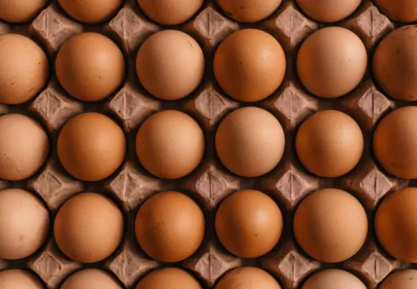 Ilustrasi telur ayam (Foto: Erol Ahmed/Unsplash)