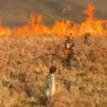 Kebakaran di Kawasan Gunung Bromo semakin meluas hingga 176 hektar